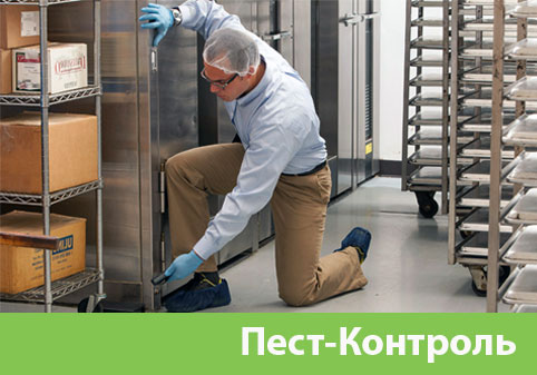 Пэст-Контроль в городе Вышний Волочёк
