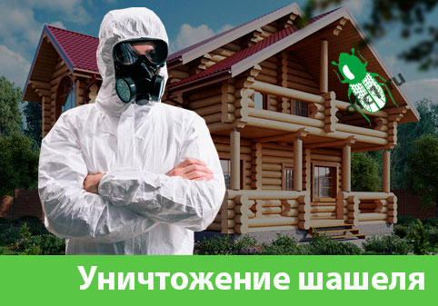 Уничтожение шашеля и личинок в Вышнем Волочке